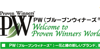 PW（プルーブンウィナーズ）の世界へようこそ